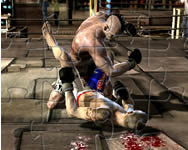 puzzle - MMA fighters